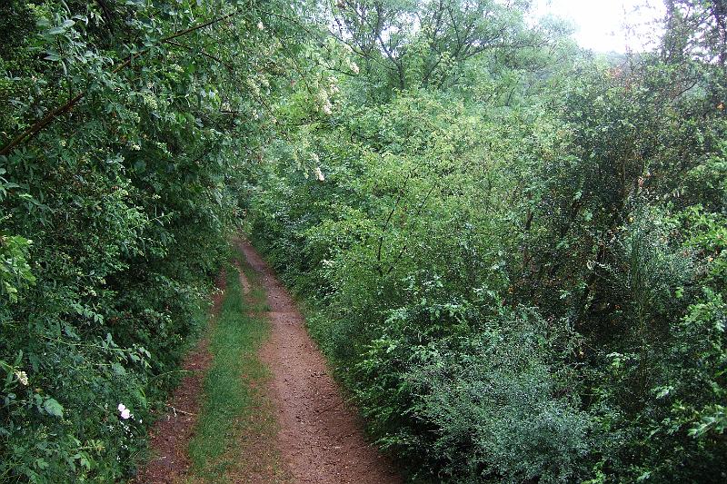 2011-05- (433).JPG